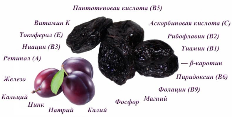 Зливи: користь та шкода для здоровя, склад, протипоказання, показання та калорійність + факти про застосування сливи4