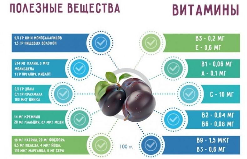 Зливи: користь та шкода для здоровя, склад, протипоказання, показання та калорійність + факти про застосування сливи3