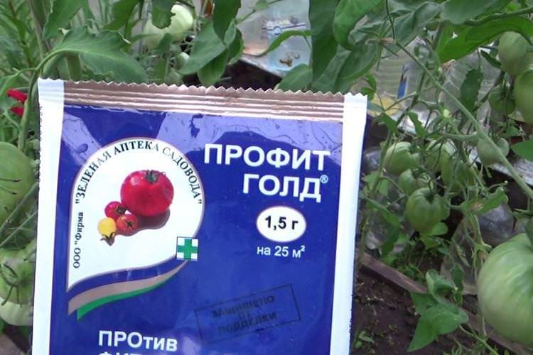 Профіт Голд - Чим обробити помідори від фітофтори