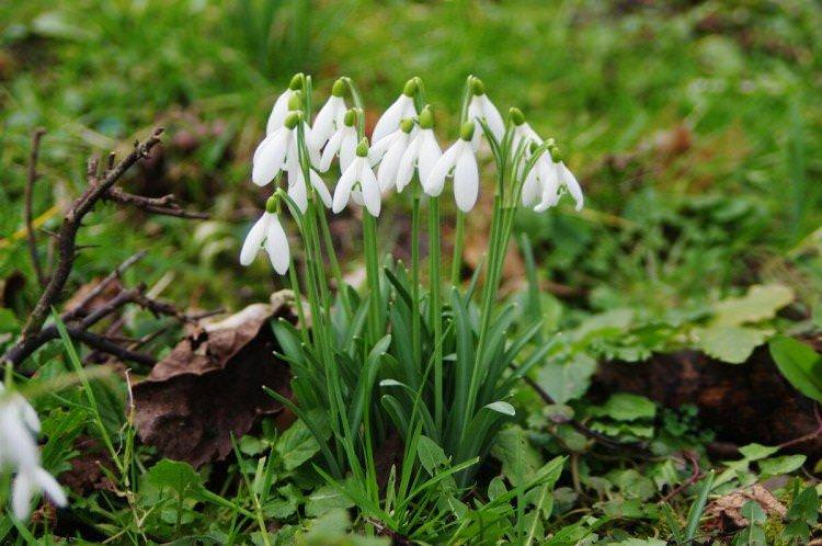 Загальна інформація