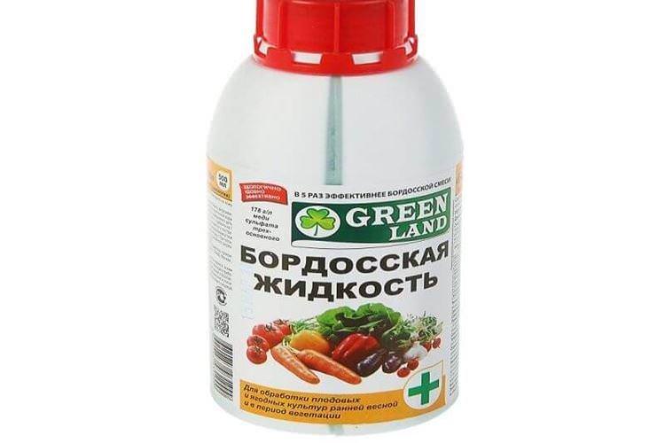 Бордоська рідина - Обробка смородини від борошнистої роси