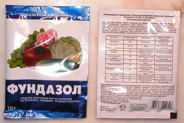 Принцип дії Фундазолу