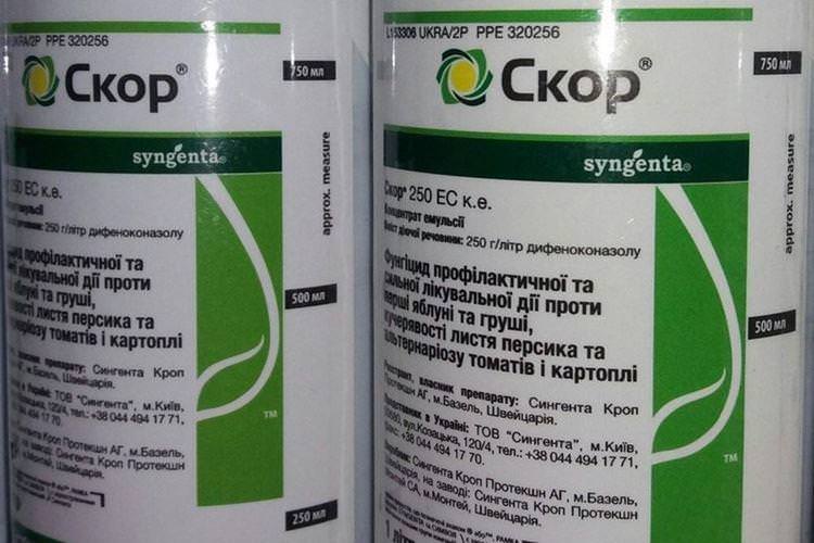 Приготування розчину фунгіциду Скор