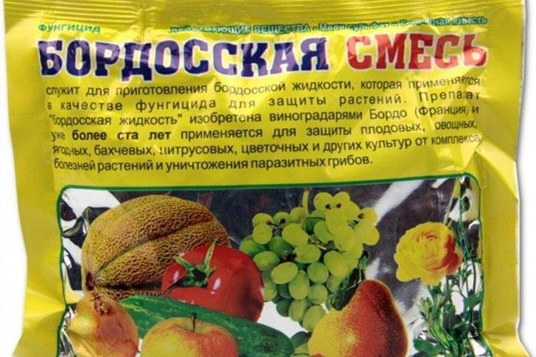 Бордоська рідина - Чим обробити помідори від фітофтори