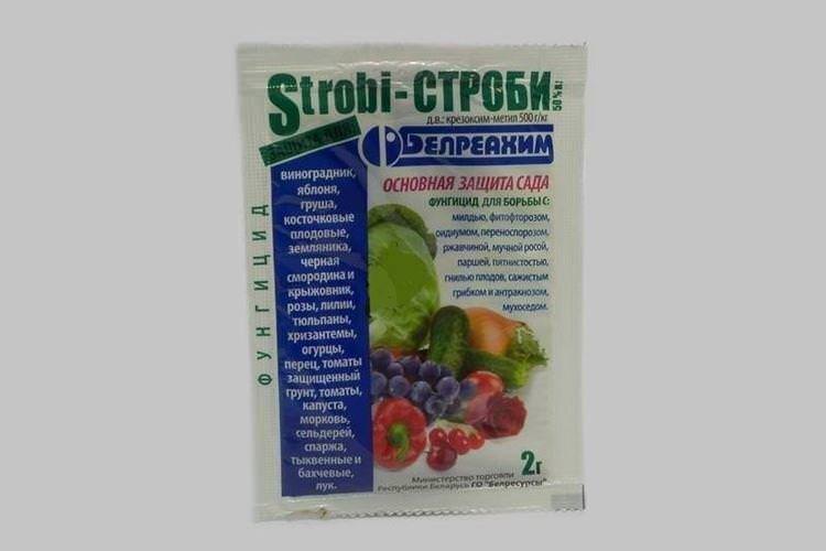 Принцип дії фунгіциду Стробі