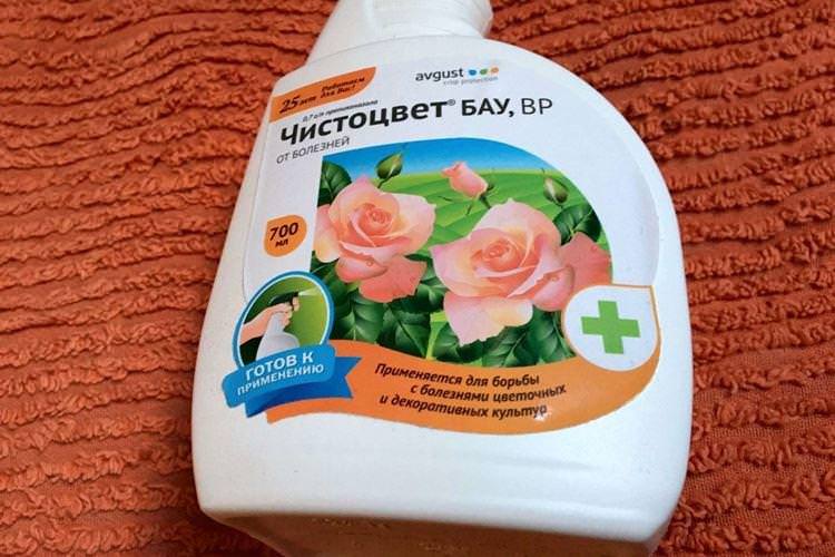 Чистоцвіт - Фунгіциди для рослин