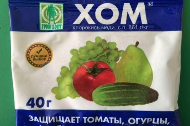 ХОМ - Чим обробити помідори від фітофтори