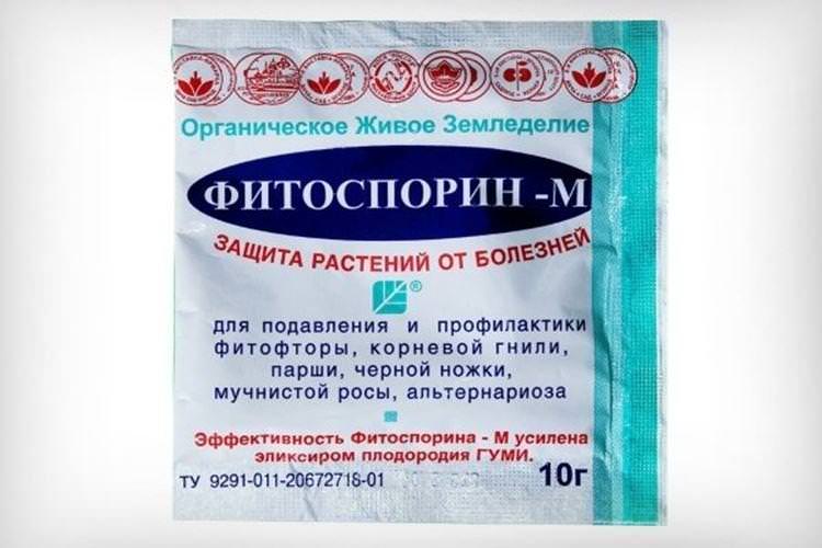 Фітоспорин - Обробка смородини від борошнистої роси