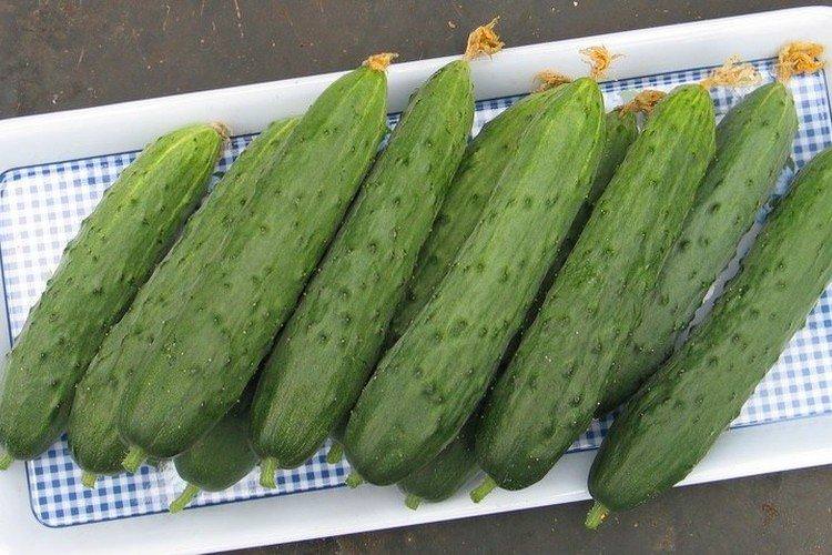 Метелиця