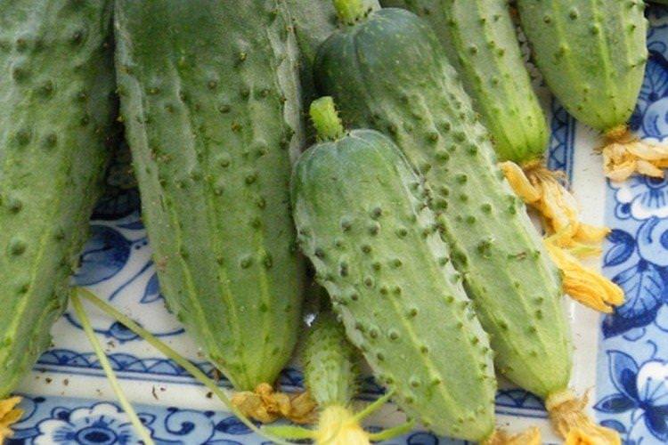 Конкурент