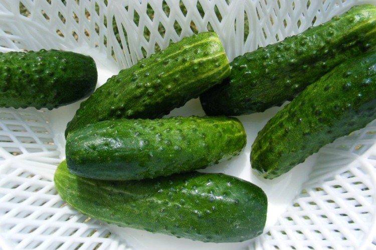 Емеля