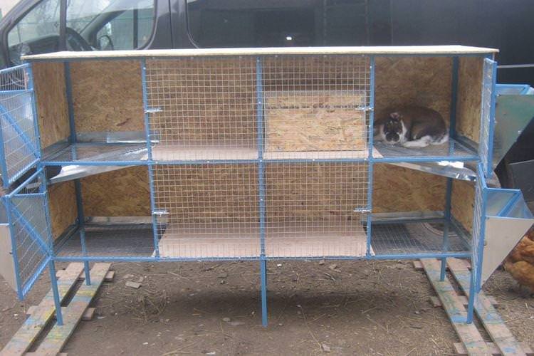 Клітини для великих кроликів своїми руками