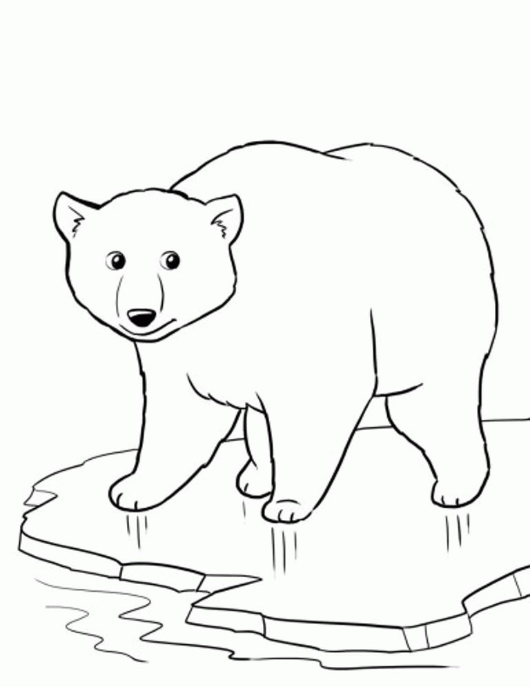 Розмальовка з білим ведмедем (24 фото)