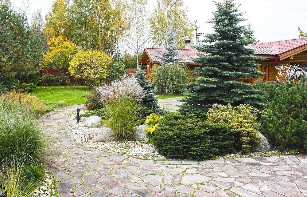 Ландшафтний дизайн із сосною