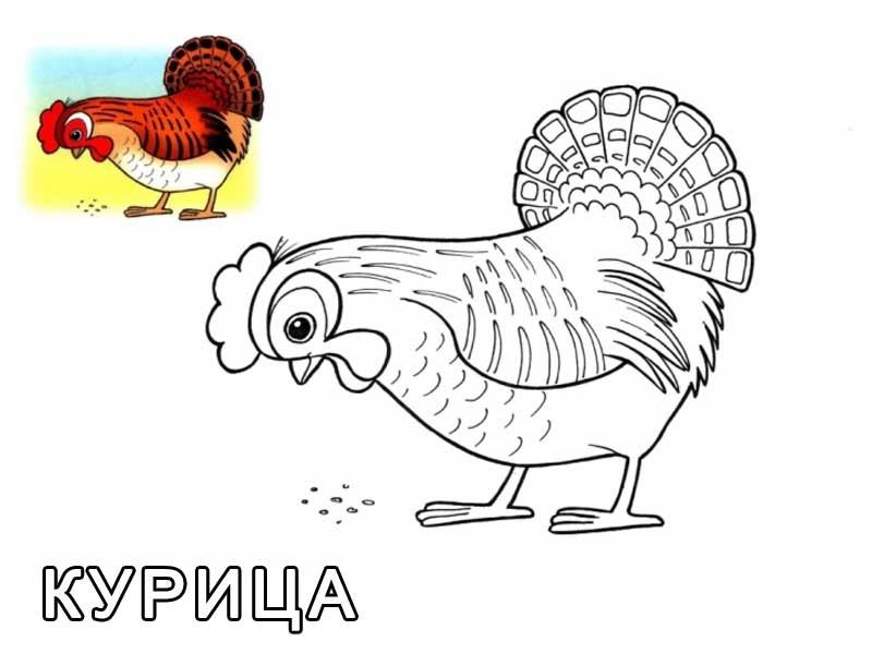 Розмальовка &laquo;Курка&raquo; (34 фото)