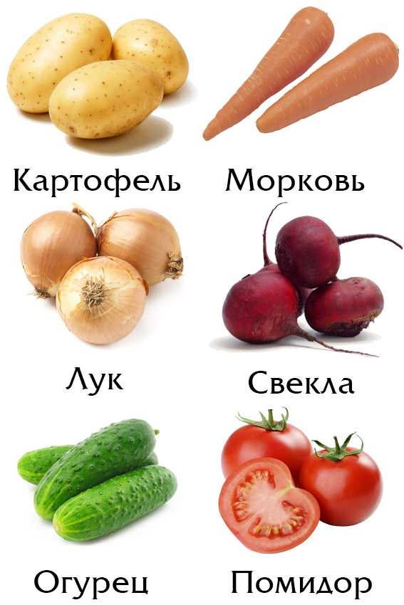 Картинки овочів для срисовки (17 фото)