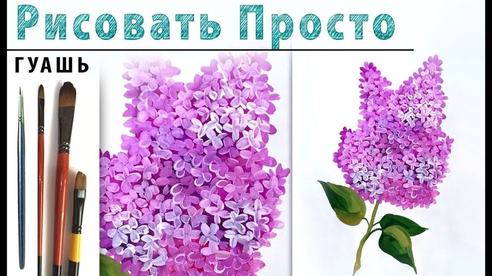 Картинки бузку для срисовки (40 фото)