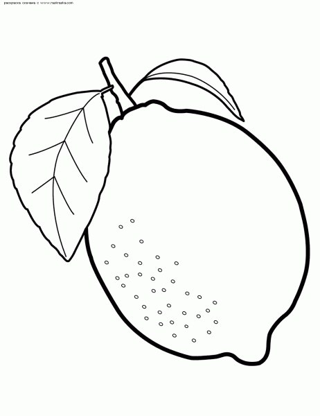 Розмальовка про фрукти (35 картинок)