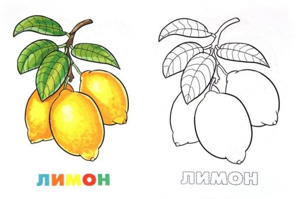 Розмальовка про фрукти (35 картинок)