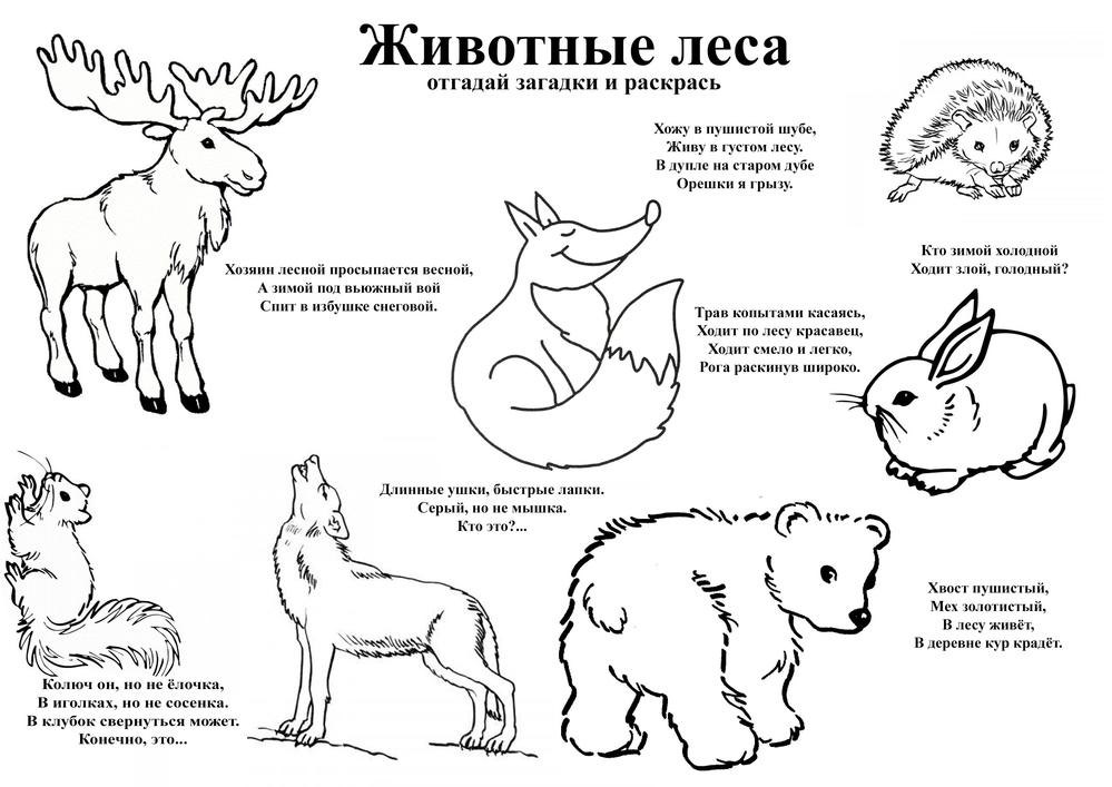 Розмальовки &laquo;Тварини лісу&raquo; роздрукувати (34 фото)
