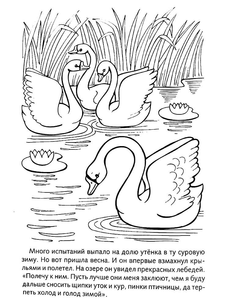 Розмальовка &laquo;Гидке каченя&raquo; (25 картинок)