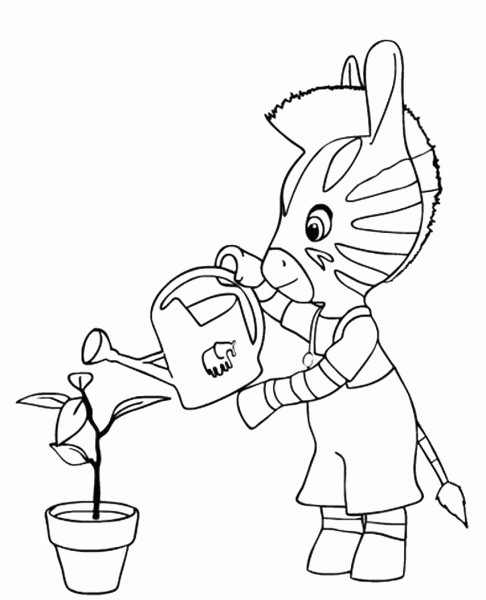 Розмальовка про зебру (33 картинки)