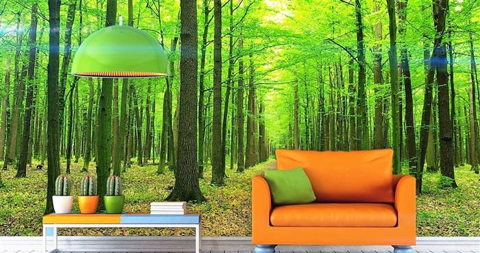 Фотошпалери в інтерєрі &ndash; 50 ідей у вітальні і не тільки