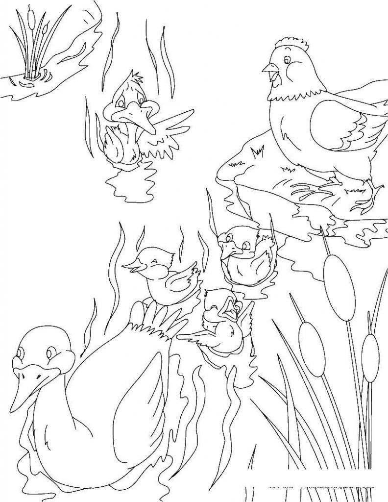 Розмальовка &laquo;Гидке каченя&raquo; (25 картинок)