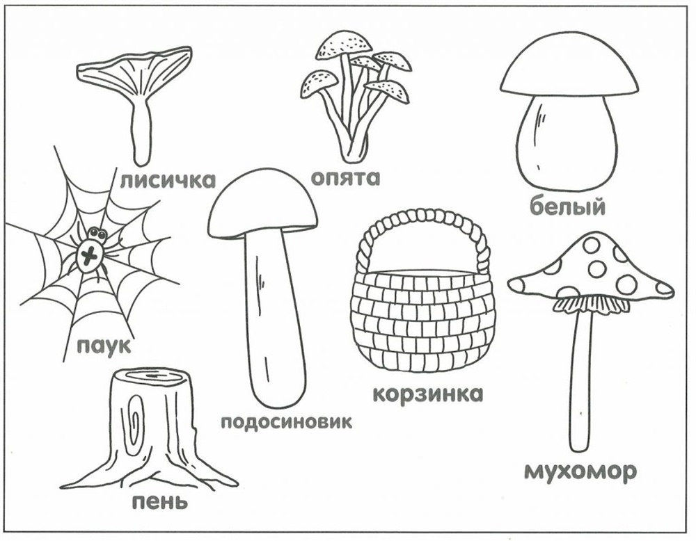 Розмальовка з грибами і назвами для дітей (39 фото)