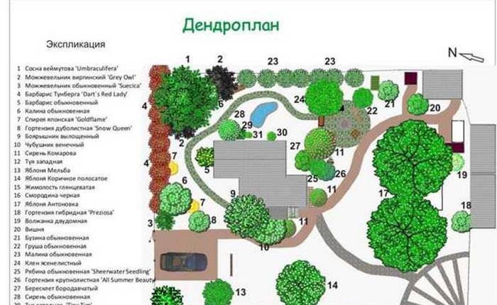Дизайн ділянки заміського будинку 10 соток своїми руками + фото