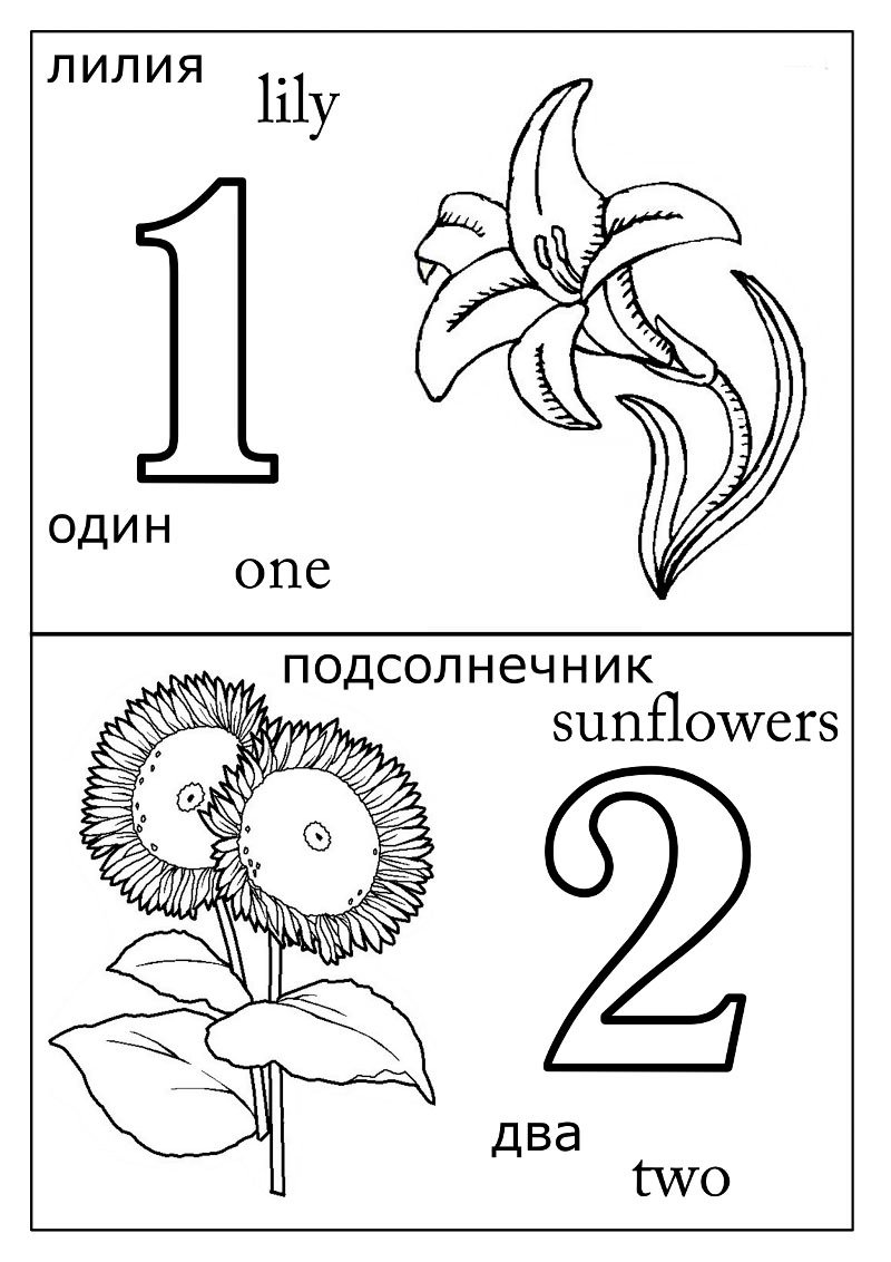 Розмальовка цифри «1» (30 фото)