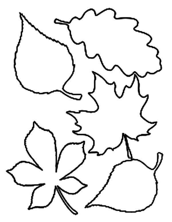 Листя для срисовки (28 фото)