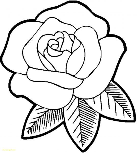 Розмальовка про квіти (38 картинок)