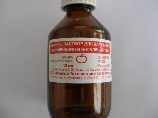 Підживлення полуниці у червні у відкритому ґрунті для великого врожаю