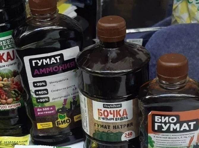 Підживлення смородини у червні з плодами, ніж удобрювати на початку літа