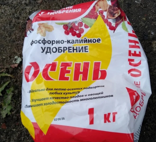 Чайно-гібридні троянди: сорти та вирощування