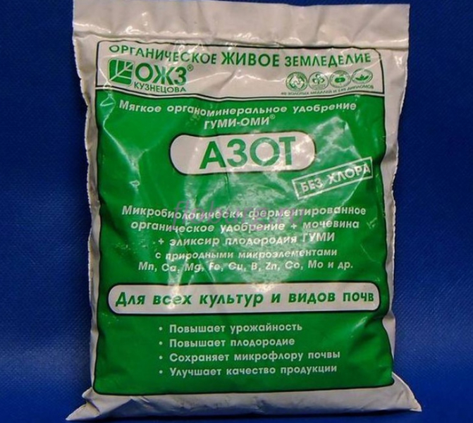 Чайно-гібридні троянди: сорти та вирощування