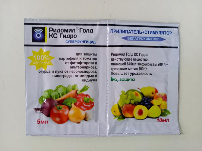 Підживлення капусти у червні у відкритому ґрунті для гарного врожаю