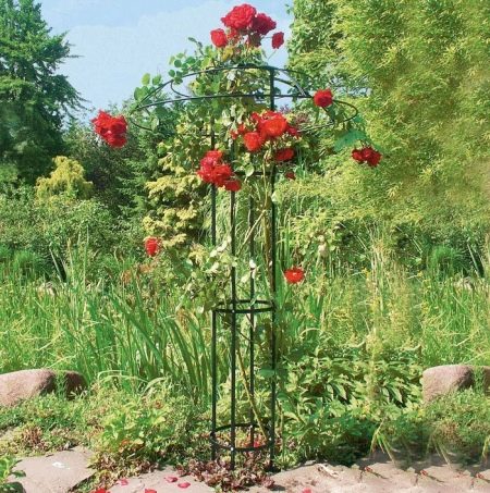 Опори для плетистих троянд: різновиди та застосування