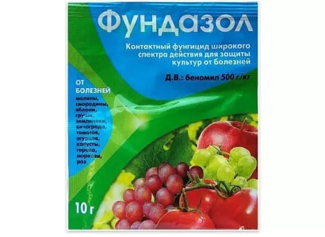 Підготовка плетистої троянди до зими