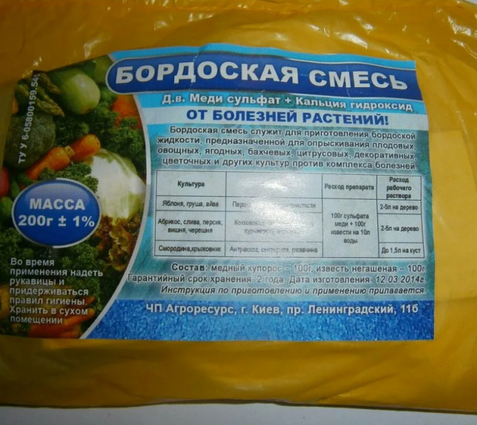 Підготовка плетистої троянди до зими