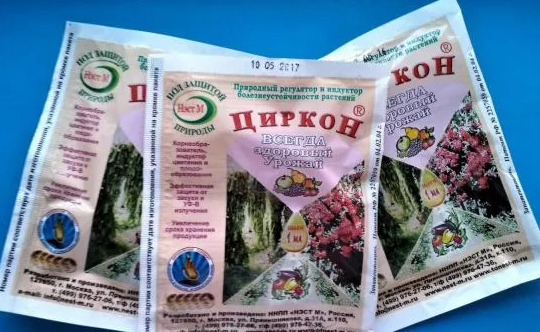 Все про бордюрні троянди