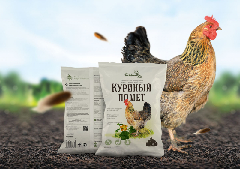 Все про поліантові троянди