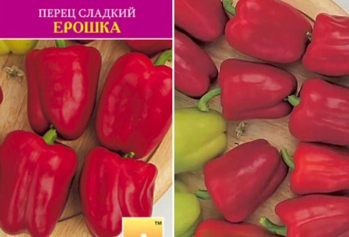 Попелиця: як позбутися, чим обробити? Рейтинг коштів 2023 року