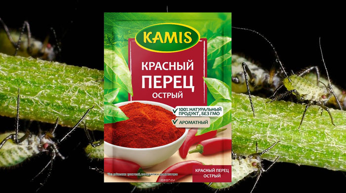 Як позбутися попелиці на смородині: рейтинг коштів від попелиці 2023 року