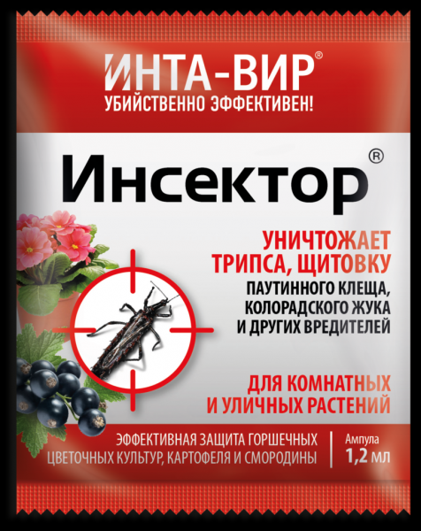 Попелиця: як позбутися, чим обробити? Рейтинг коштів 2023 року