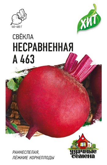Коли садити буряки у 2024 році