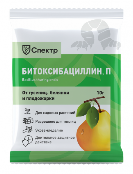 Білокрилка: як виглядає, чим харчується, як її позбутися