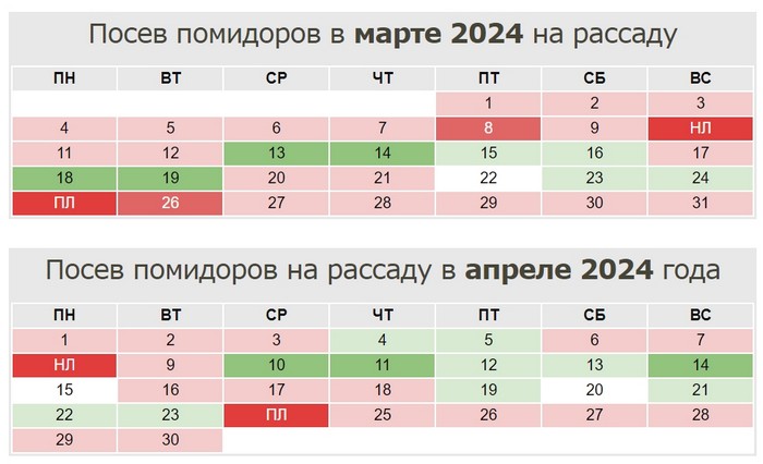 Коли садити помідори на розсаду у 2024 році