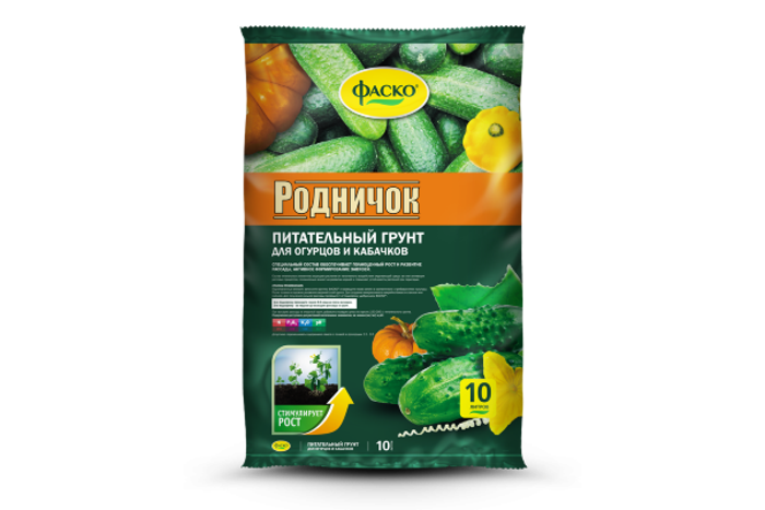 Коли і як садити огірки на розсаду у 2024 році